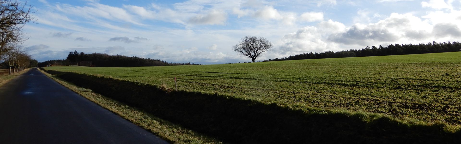 Felder und Wald rund um Oberrimbach